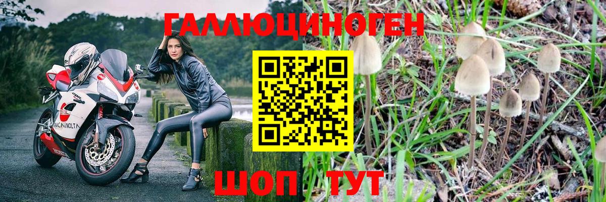ГАШ  Альфа ПВП СОЛЬ кристаллы  Меф МЯУ МЯУ кристаллы  Вход с VPN  Гашиш  Алексеевка  Бошки Шишки  ТГК 