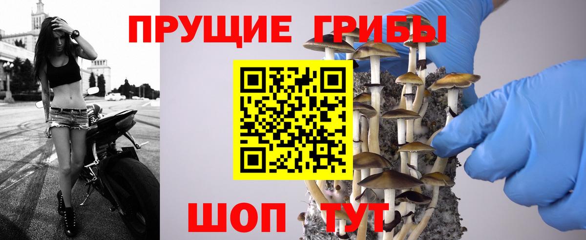 Алексеевка  Галлюциногенные грибы MAGIC MUSHROOMS  Вход с VPN 